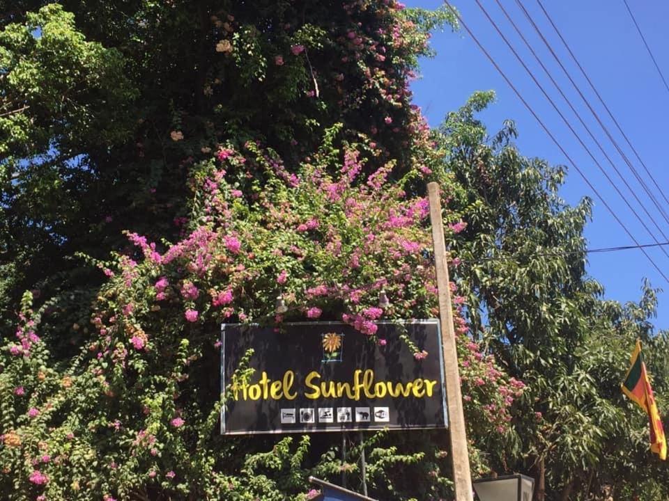 Hotel Sunflower Kataragama Exteriér fotografie